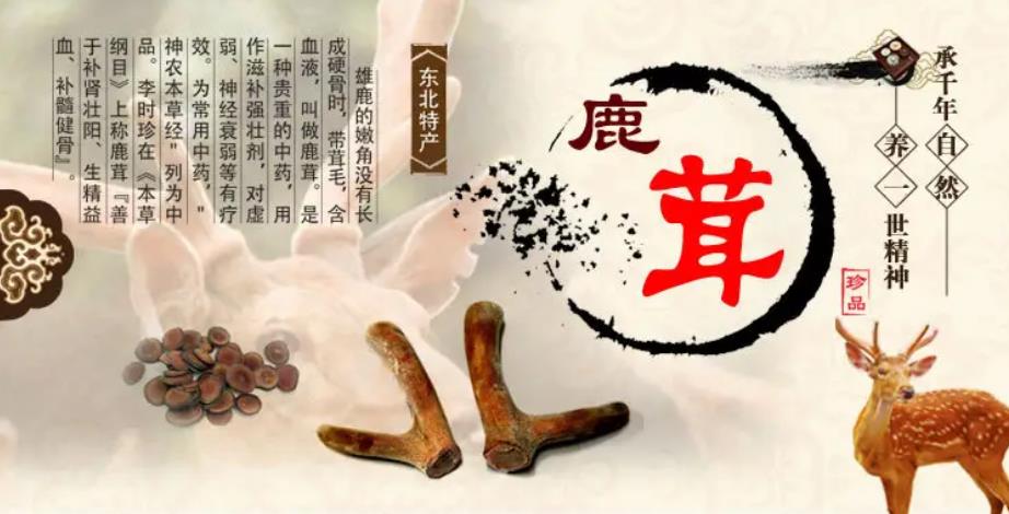 新鲜鹿茸的营养价值远高于干鹿茸(图1)