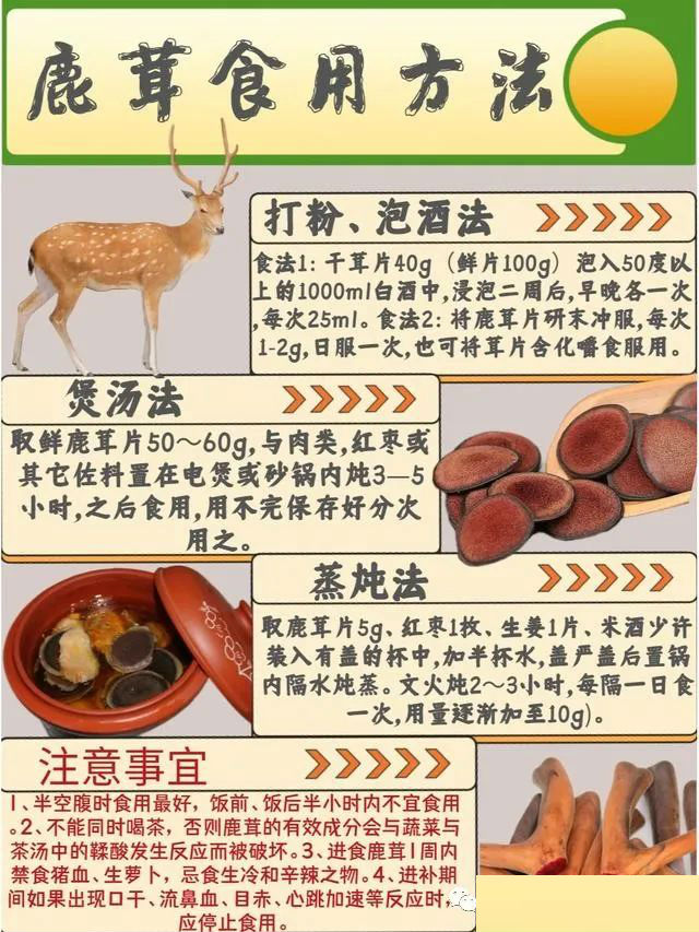 鹿茸配什么煲汤好喝又健康营养(图1)