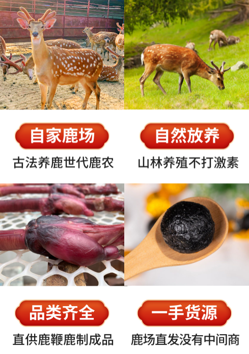 北京男性地道滋补调理就选东北鹿乡鹿鞭膏(图2) 北京男性地道滋补调理就选东北鹿乡鹿鞭膏(图2)