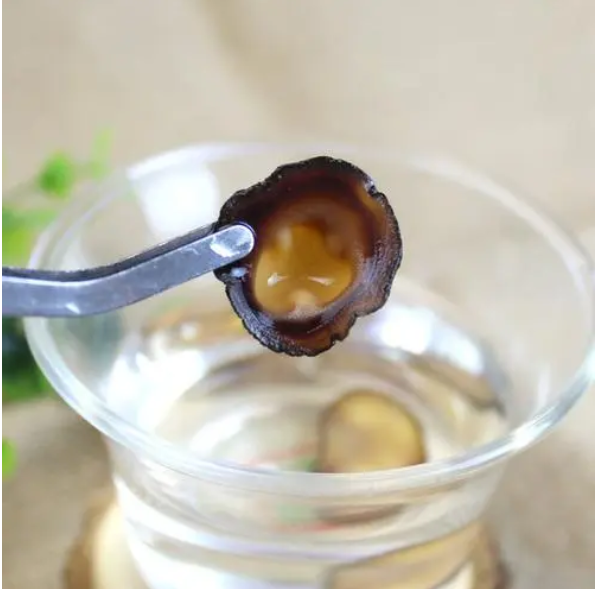 鹿茸片泡水多久,东北鹿茸片泡水多久,鹿茸片泡水多久?(图2) 鹿茸片泡水多久,东北鹿茸片泡水多久,鹿茸片泡水多久?(图2)