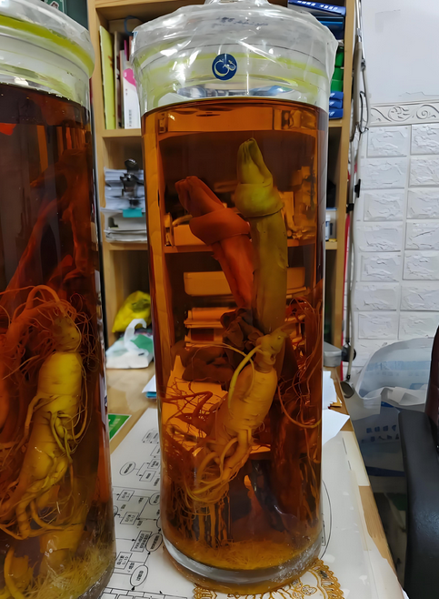 男人的加油站喝了浑身是劲——鹿鞭酒